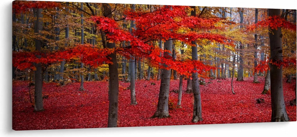Obraz - Červený les (120x50 cm)