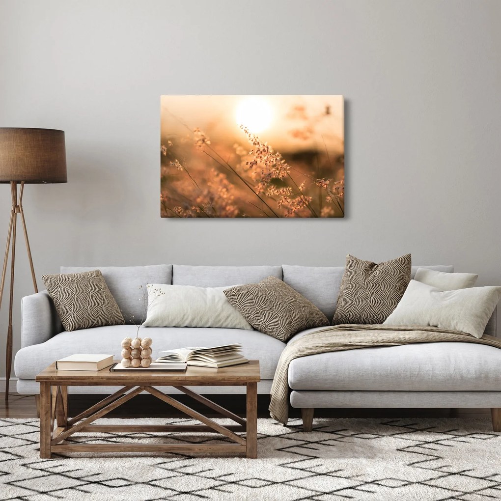 Obraz - Tráva na slnku (90x60 cm)
