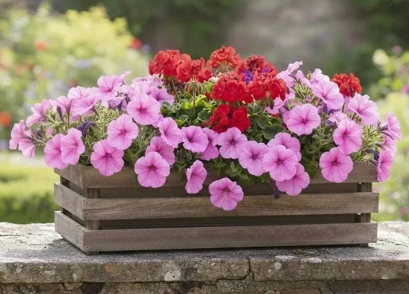 AMADEA Drevený obal na kvetináč tmavý, 62x21,5x17cm Český výrobok