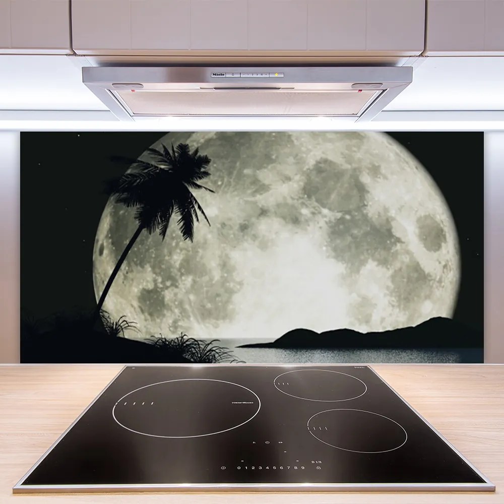 Nástenný panel  Noc mesiac palma krajina 140x70 cm