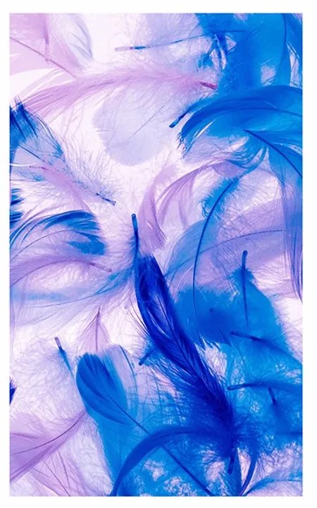 Plagát s paspartou nádherné pierka - 30x45 silver