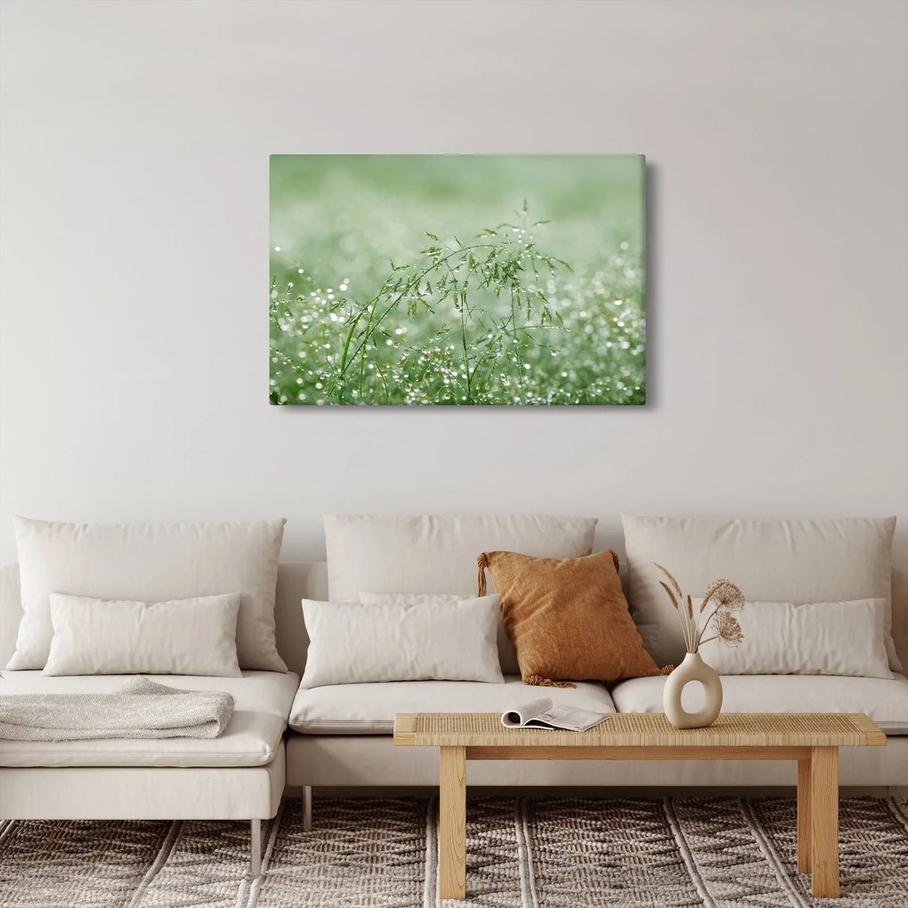 Obraz - Ranná rosa na steblach trávy (90x60 cm)
