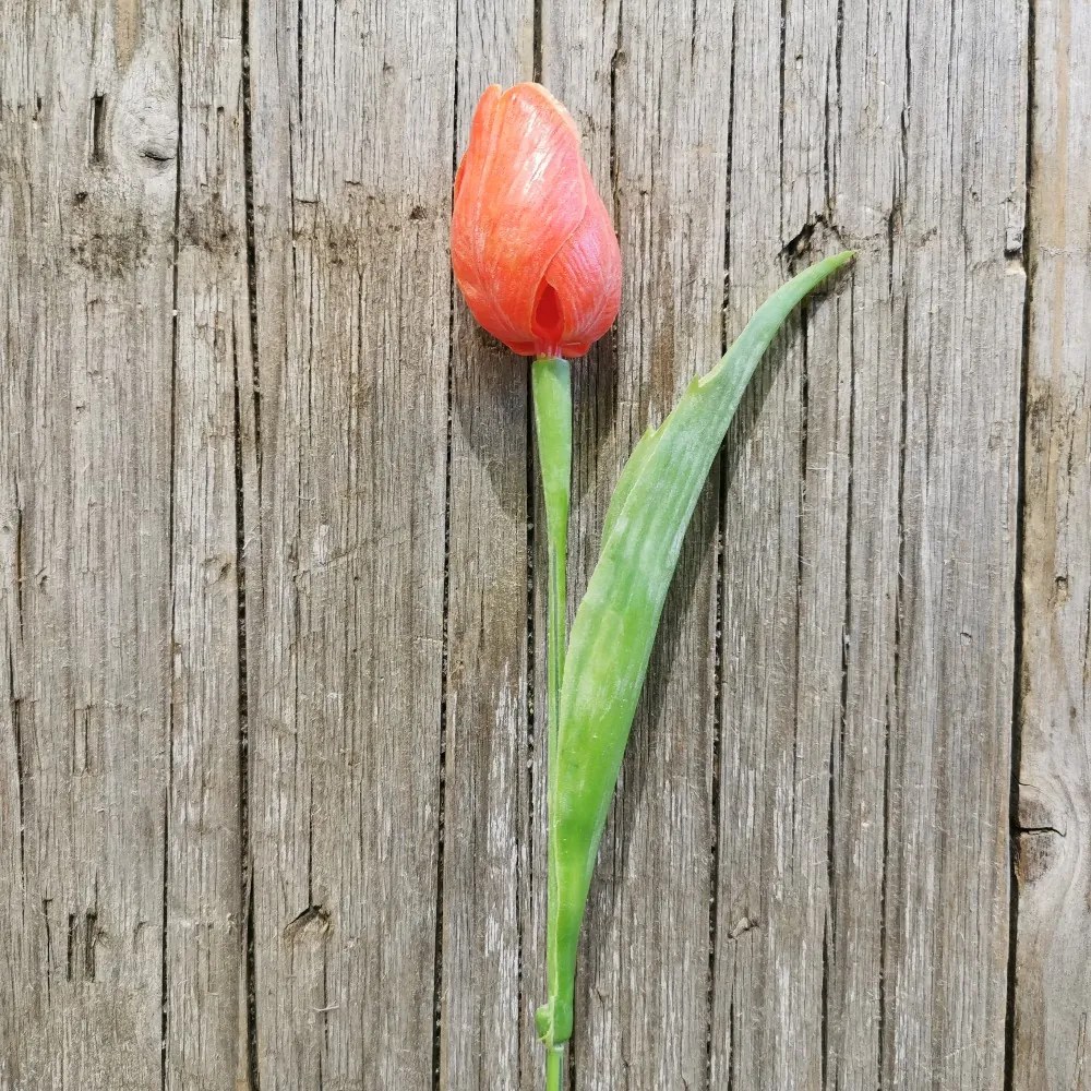 tulipán oranžový jemne bielený 42CM cena za 1ks