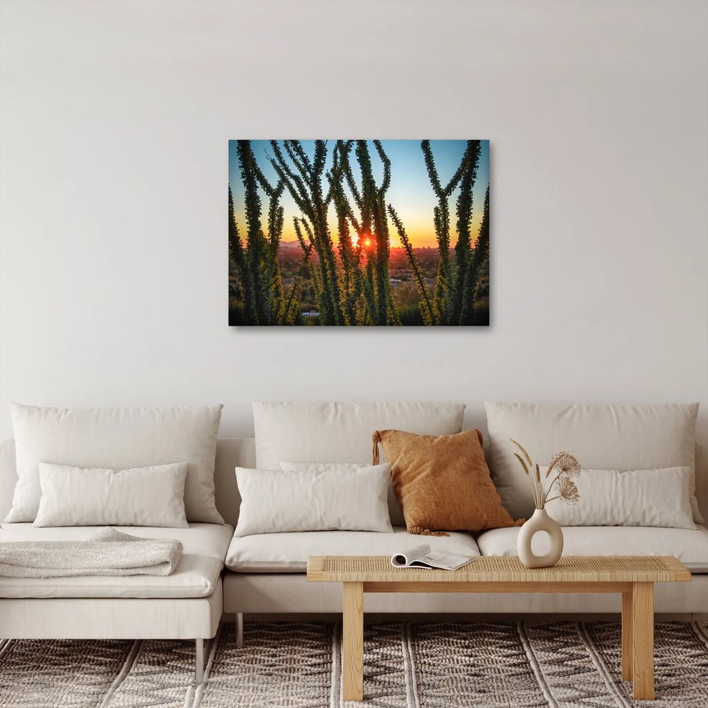 Obraz - Rastliny (70x50 cm)