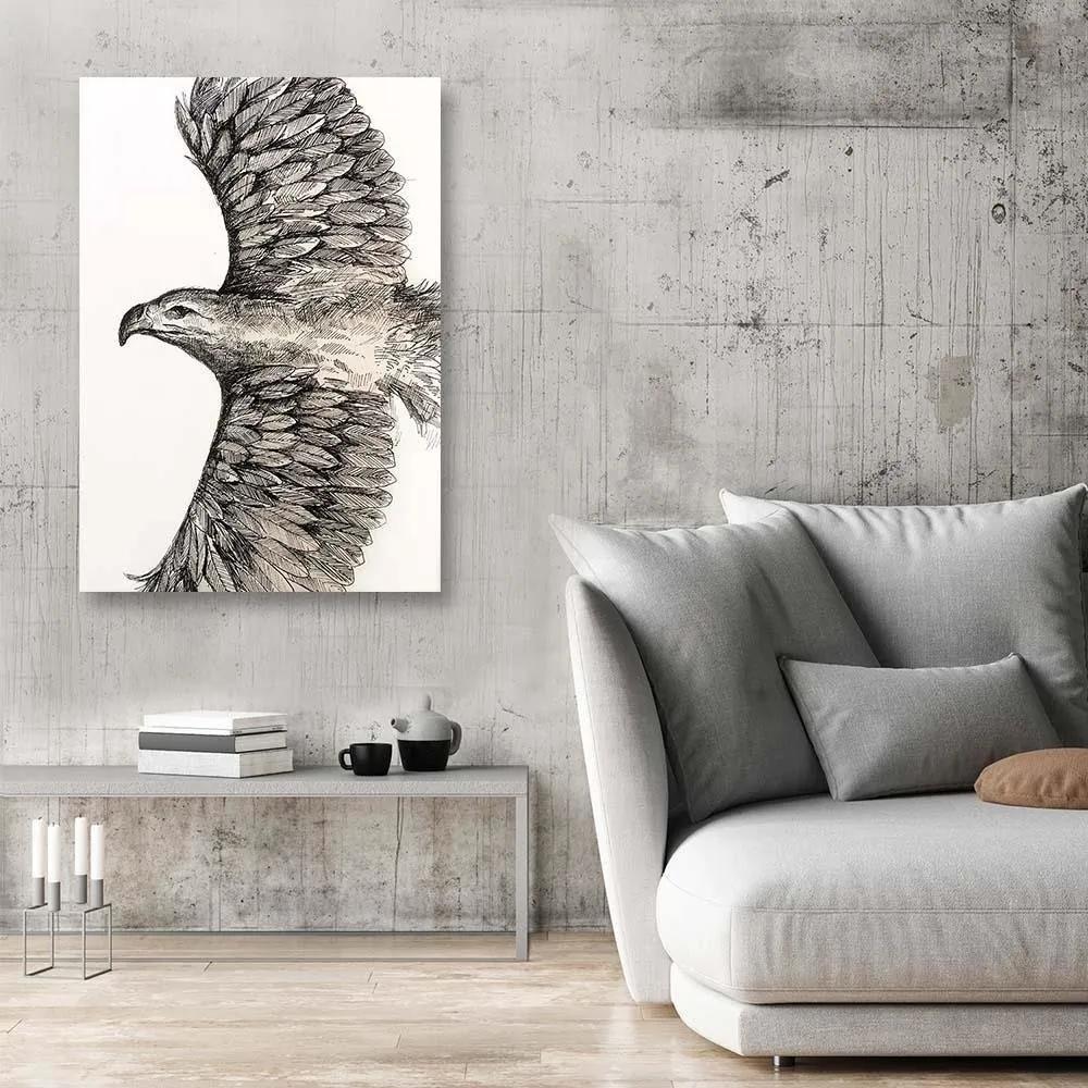 Gario Obraz na plátne Náčrt lietajúceho orla - Jan Perit Kablan Rozmery: 40 x 60 cm