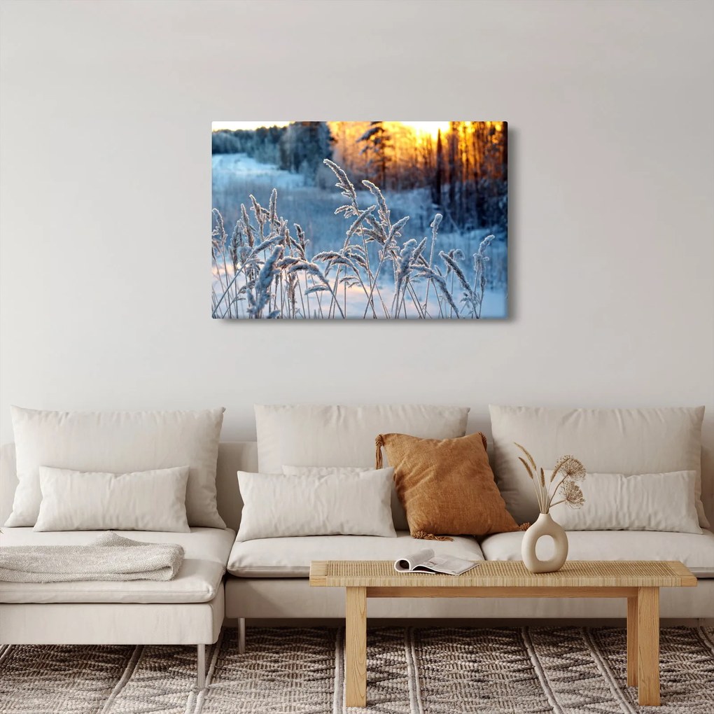 Obraz - Zimná lúka (90x60 cm)