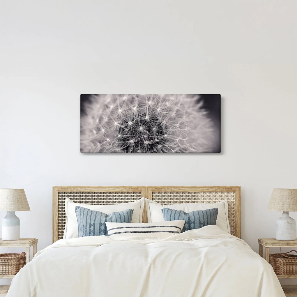 Obraz púpavy (120x50 cm)