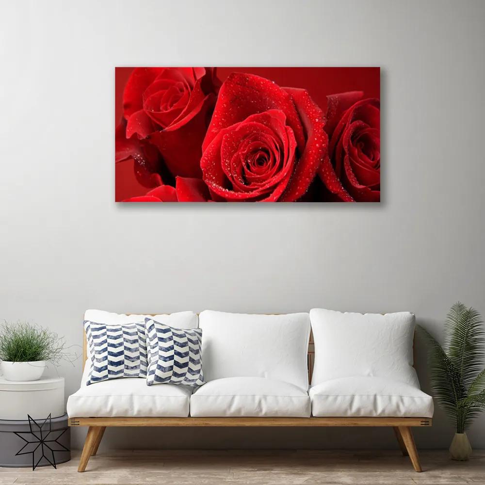 Obraz na plátne Ruže kvety 120x60 cm