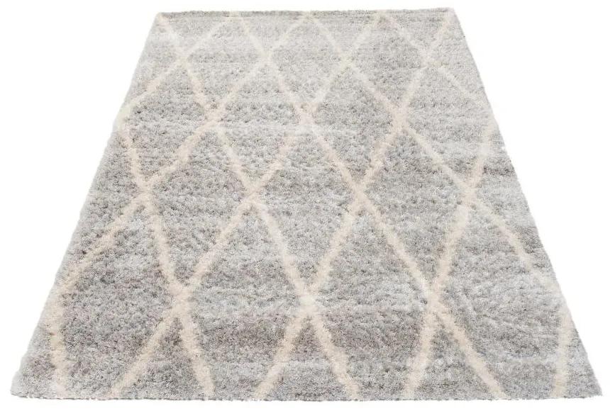 Kusový koberec shaggy Ender sivý 140x200cm
