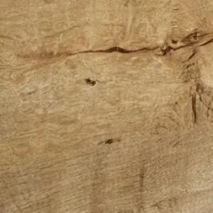 Televízny stôl Nevada RTV, dub lefkas ciemny