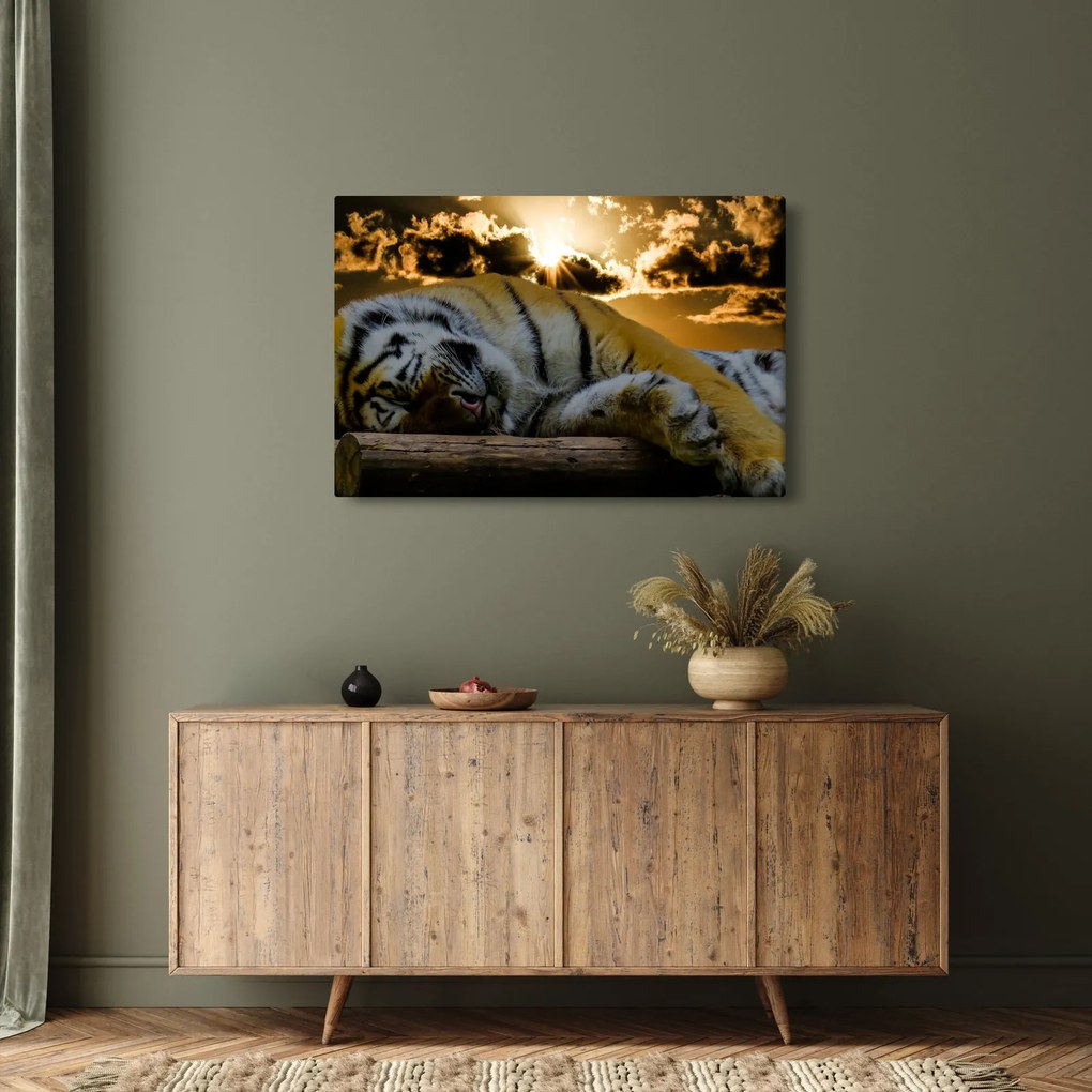 Obraz spiaceho tigra (90x60 cm)