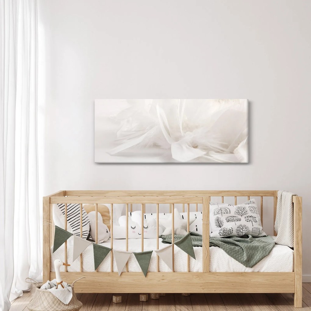 Obraz - Perie (120x50 cm)