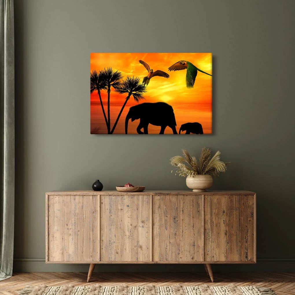 Obraz - papagáje a slony (90x60 cm)