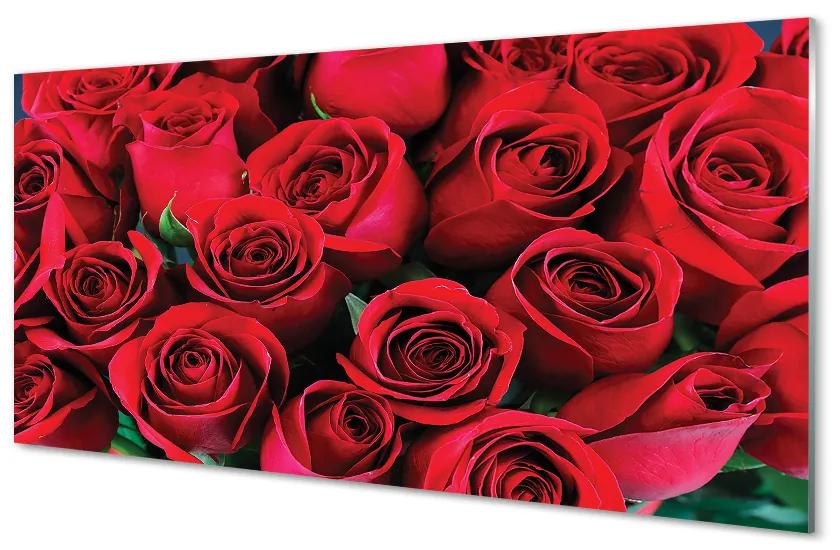 Obraz plexi Ruže 120x60 cm