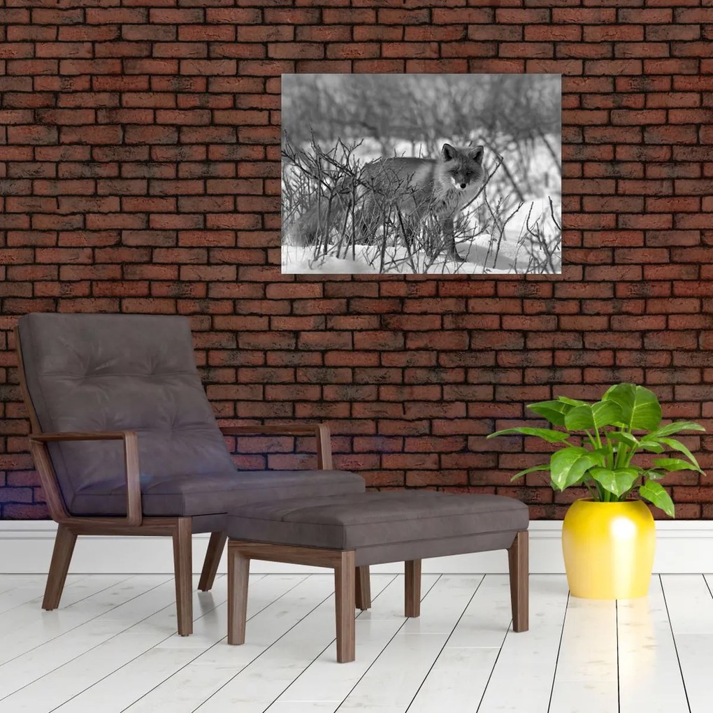 Sklenený obraz - Líška v zime (70x50 cm)