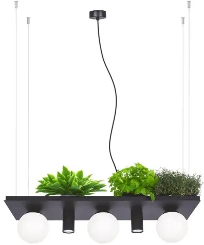 Moderný luster Plant