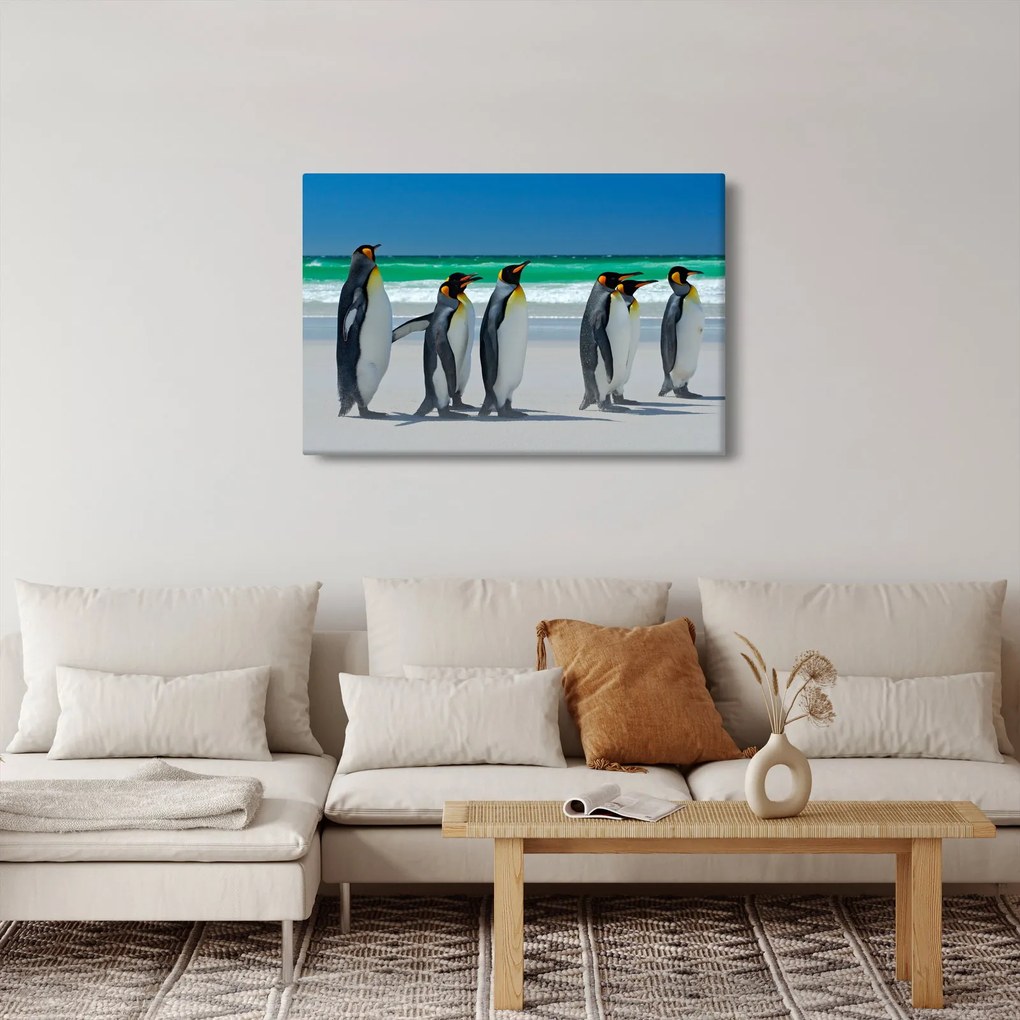 Obraz - Skupina kráľovských Tučniakov (90x60 cm)