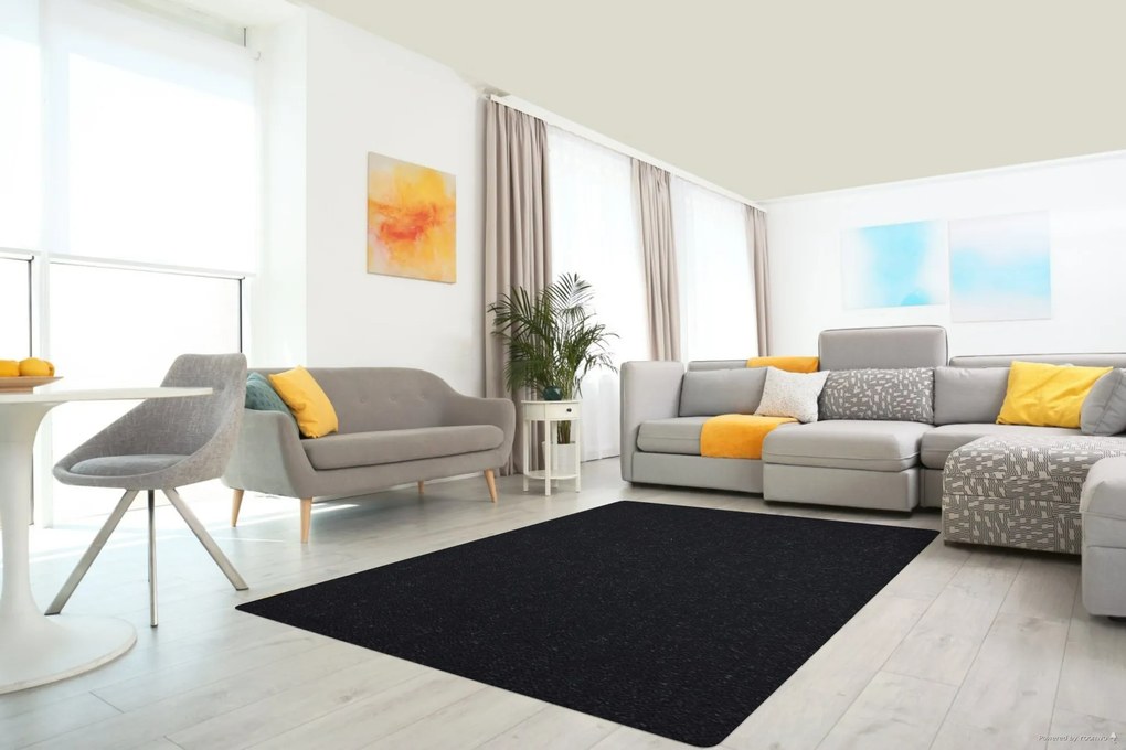 AKCIA: 80x150 cm Kusový koberec Nano Smart 800 čierny, čierna, chodba / predsieň, Lano