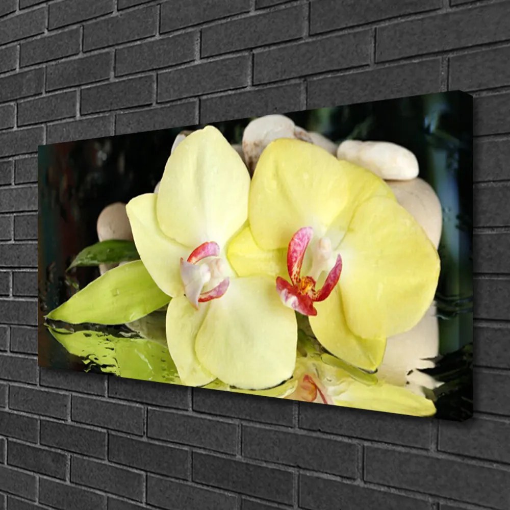 Obraz Canvas Okvetné plátky orchidea 120x60 cm