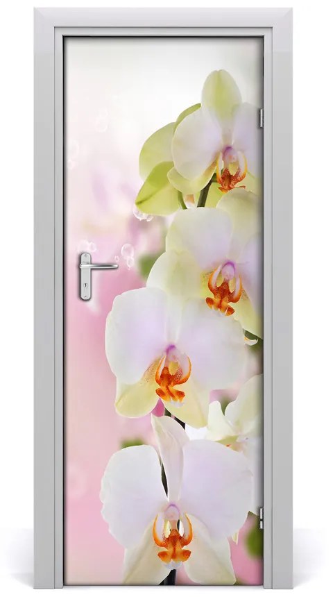 Samolepiace fototapety na dvere biela orchidea 75x205 cm