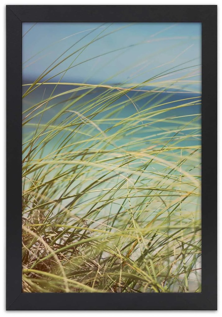 Gario Plagát Zelené trávy na pozadí mora Farba rámu: Čierna, Rozmery: 20 x 30 cm