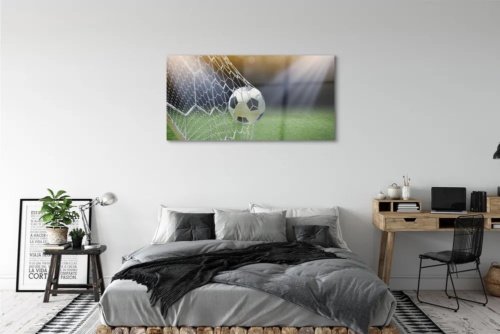 Obraz plexi Futbalový štadión 125x50 cm