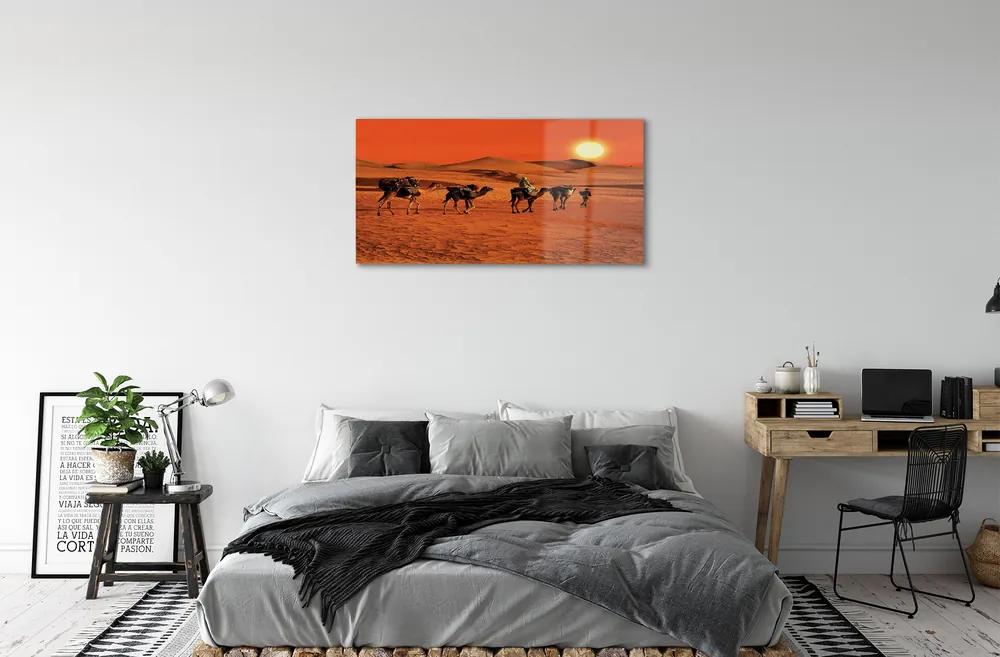 Obraz plexi Ťavy ľudí púštne slnko neba 100x50 cm