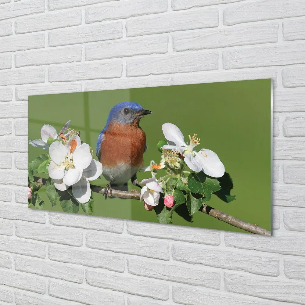Sklenený obraz Kvety farebné papagáj 120x60 cm