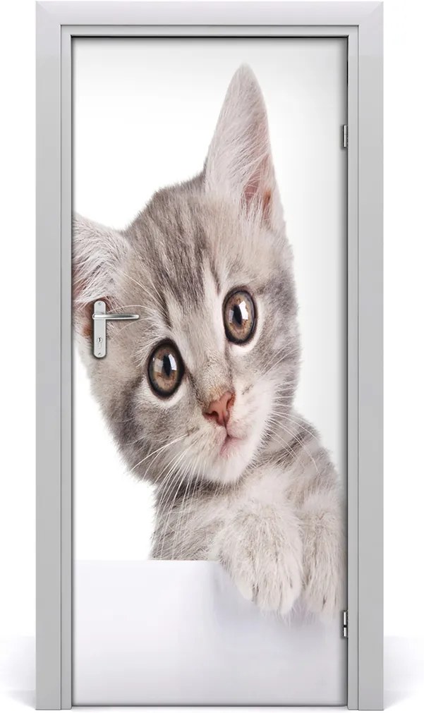 Samolepiace fototapety na dvere  sivá mačka