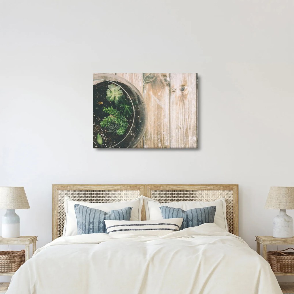 Obraz sukulentov v skle (70x50 cm)