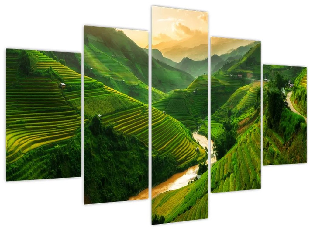 Obraz - Ryžové terasy Mu Cang Chai (150x105 cm)