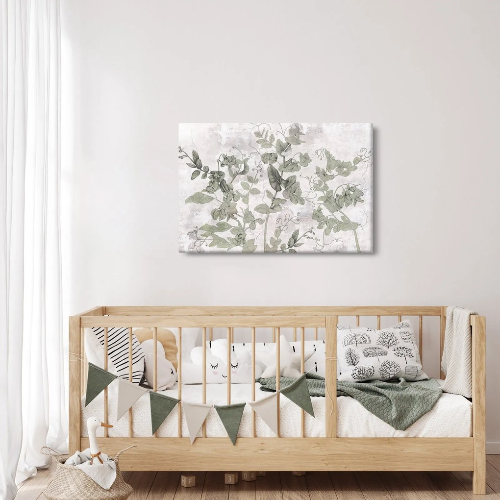 Obraz - Rastliny v omietke (90x60 cm)
