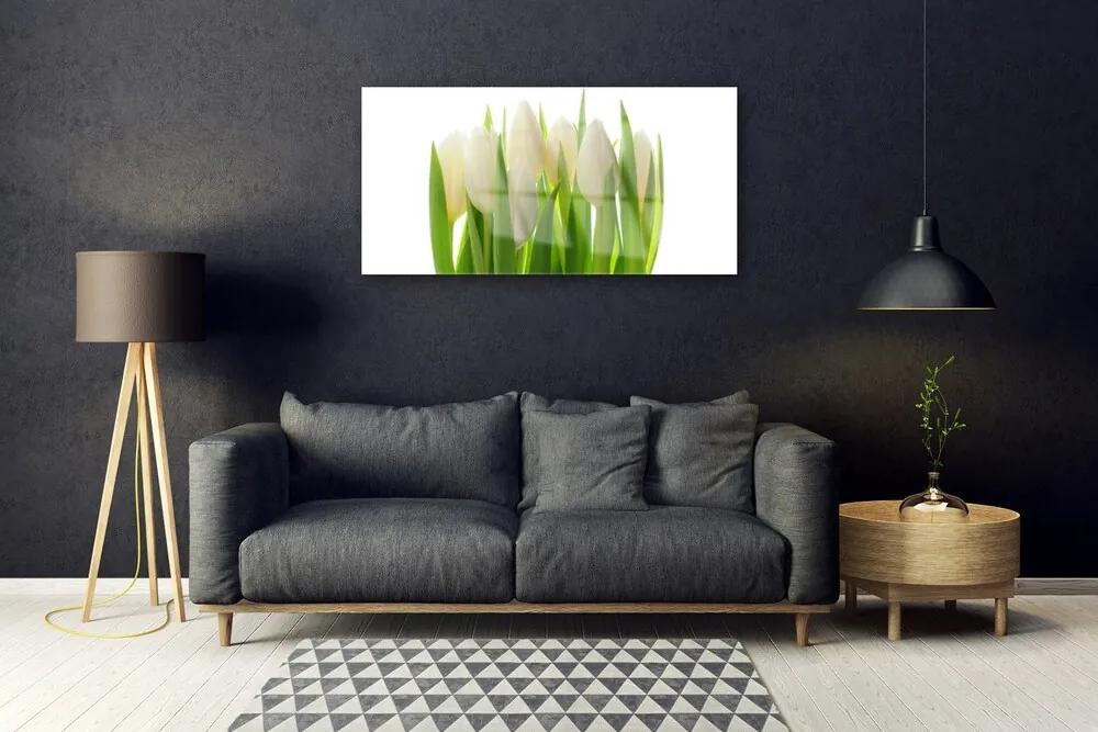 Obraz na skle Tulipány rastlina príroda 100x50 cm