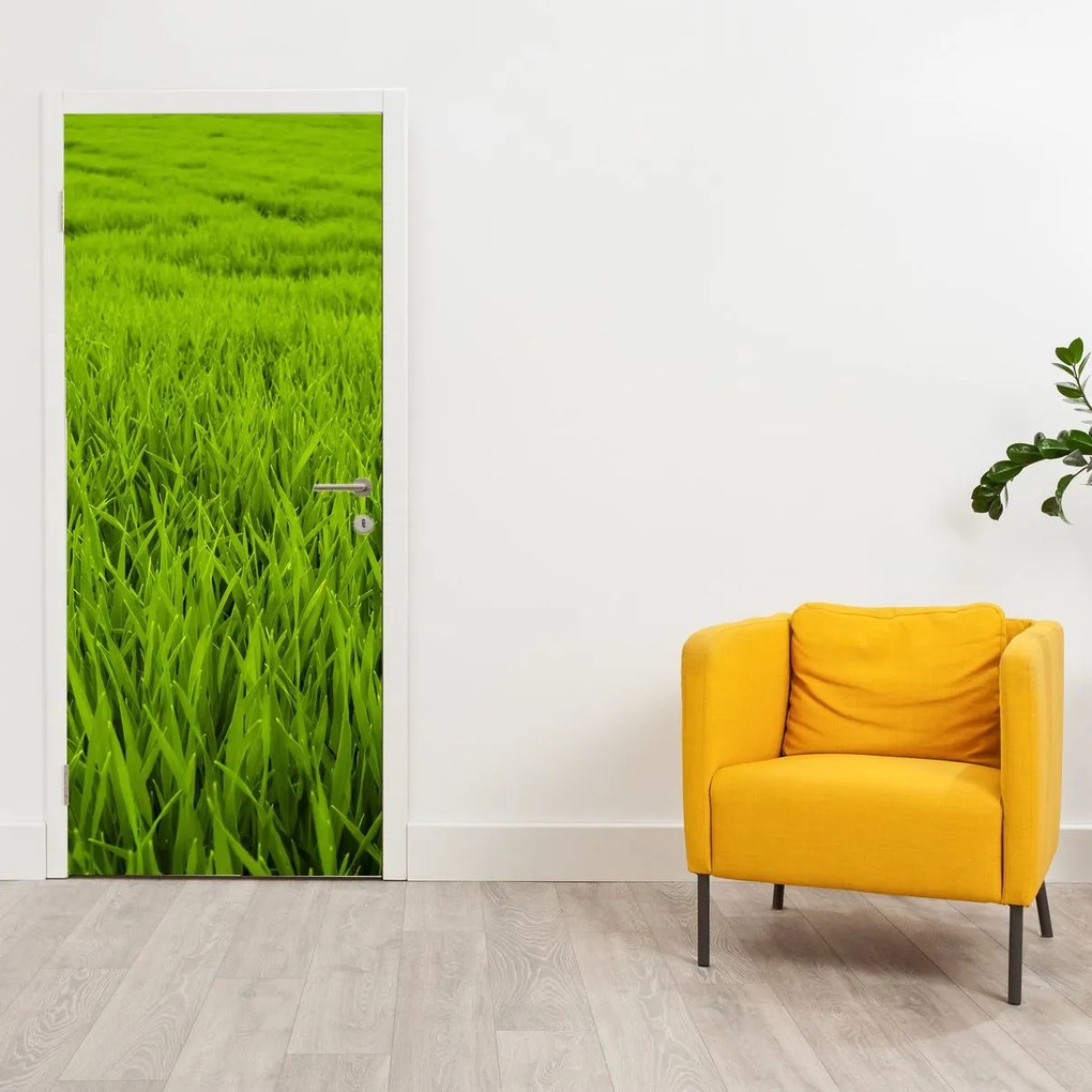 Fototapeta na dvere - Tráva (95x205cm)