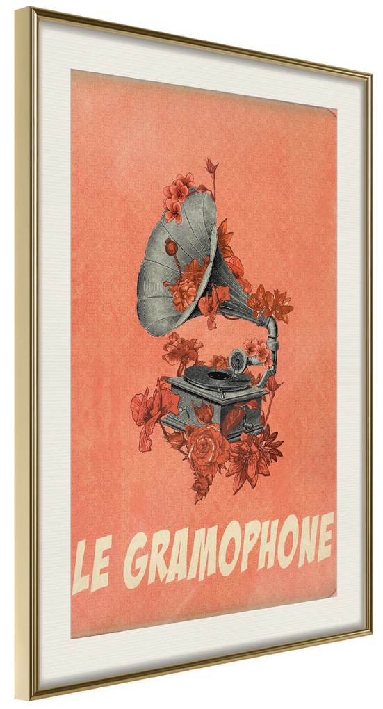 Artgeist Plagát - Gramophone [Poster] Veľkosť: 20x30, Verzia: Zlatý rám s passe-partout