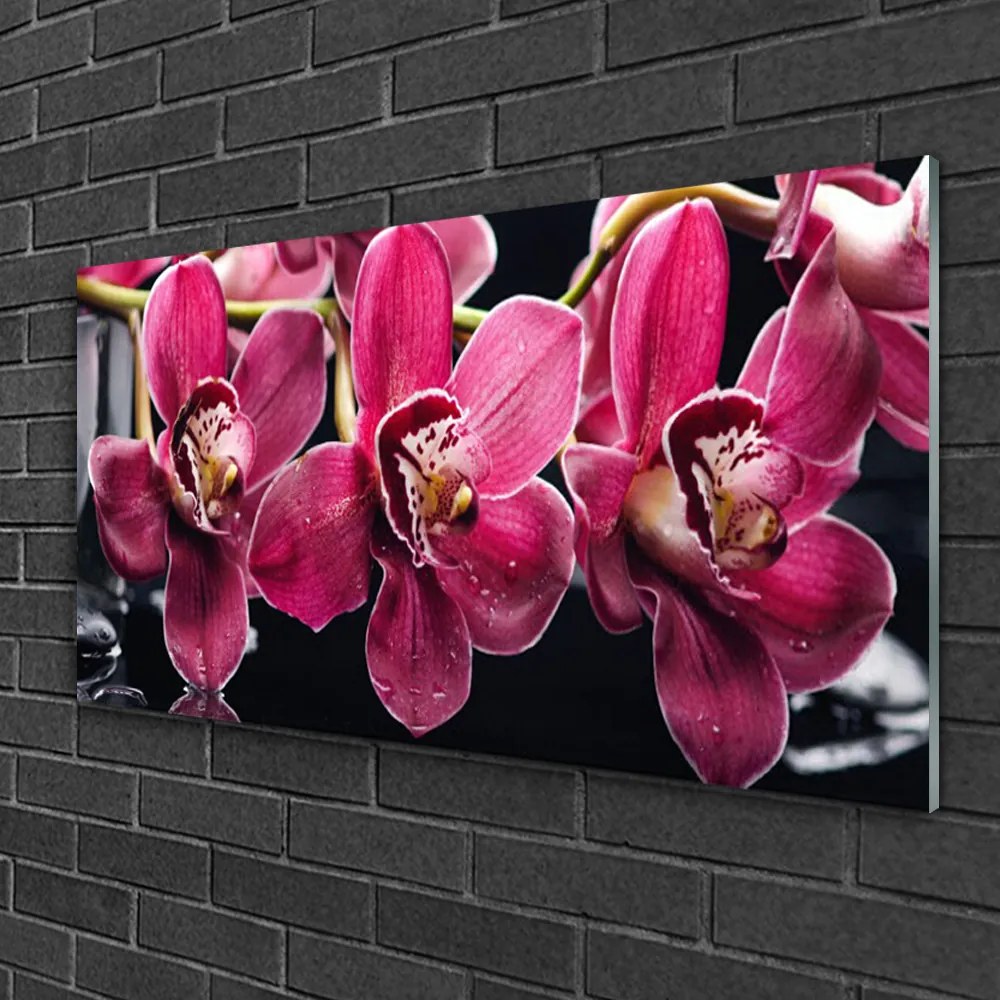 Skleneny obraz Kvety orchidey výhonky príroda 125x50 cm