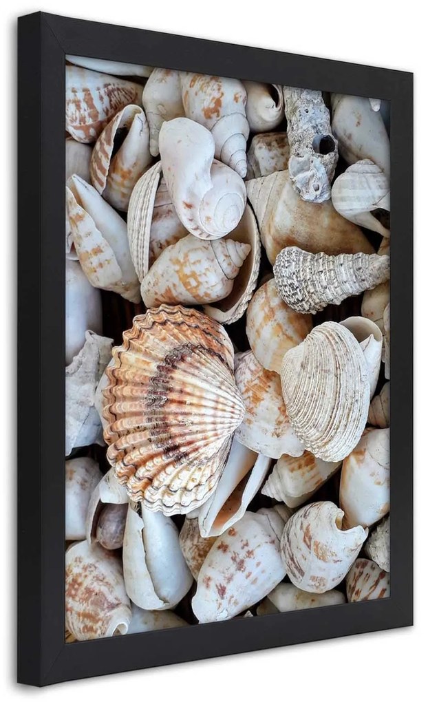 Gario Plagát Detailný záber na mušle Farba rámu: Bez rámu, Rozmery: 20 x 30 cm