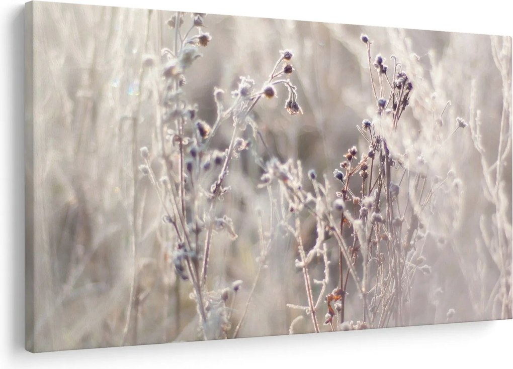 Obraz - Rastlina (90x60 cm)