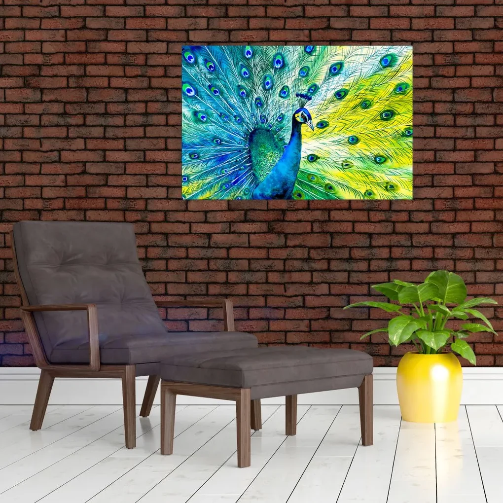 Obraz páva (90x60 cm)