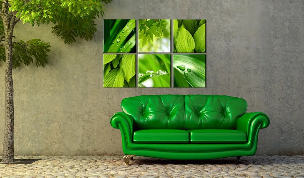 Artgeist Obraz - Fresh green leaves Veľkosť: 60x40, Verzia: Premium Print