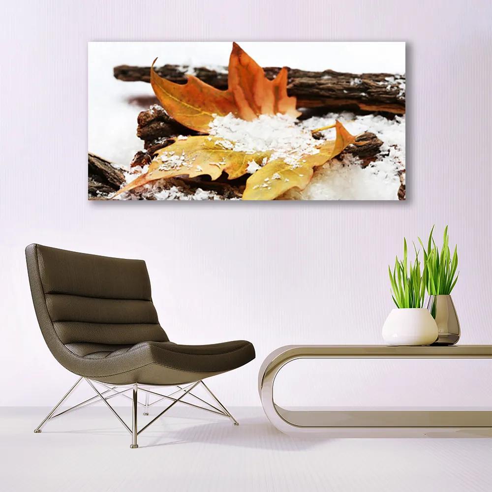 Obraz plexi List les jeseň príroda 120x60 cm