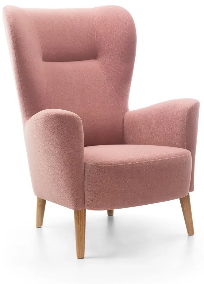 MODERNÉ KRESLO UŠIAK RONY