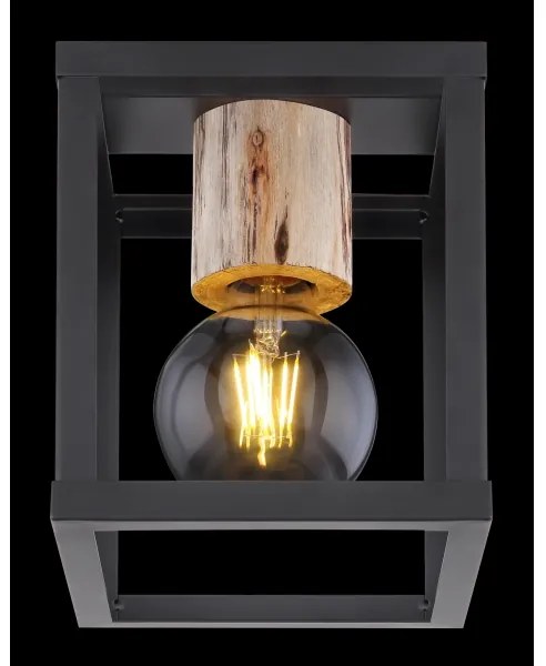 Globo 15476D - Stropné svietidlo HAGAR 1xE27/60W/230V