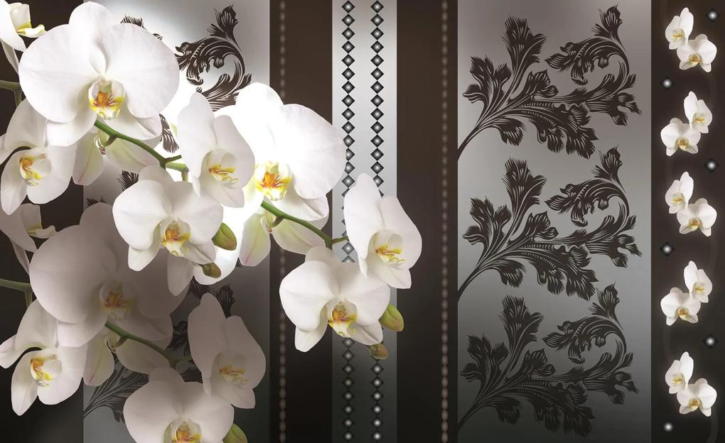 Fototapeta Twigs orchid vlies 208 x 146 cm