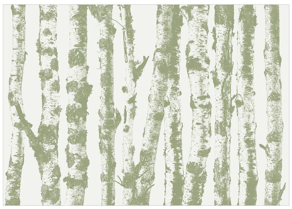 Artgeist Fototapeta - Stately Birches - Third Variant Veľkosť: 150x105, Verzia: Premium