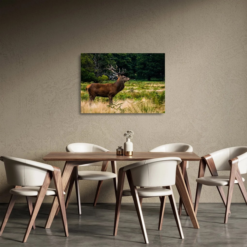 Sklenený obraz jeleňa (70x50 cm)