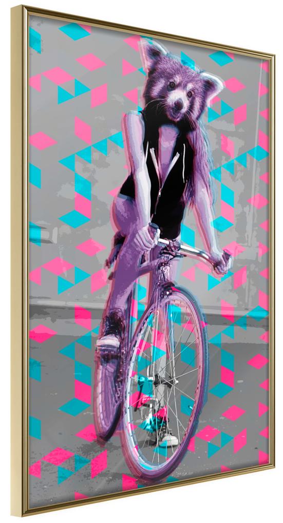Artgeist Plagát - Raccoon On The Bike [Poster] Veľkosť: 20x30, Verzia: Zlatý rám s passe-partout