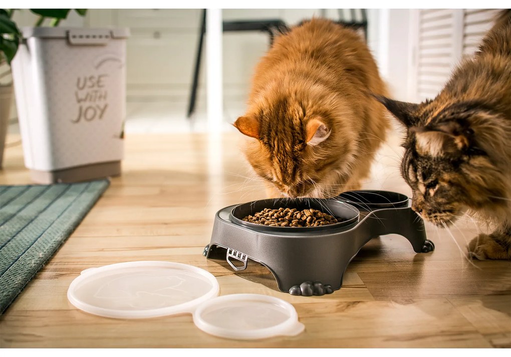 Rotho Miska na krmivo a vodu pre psy a mačky, dvojitá s vekom, SALLY - antracit