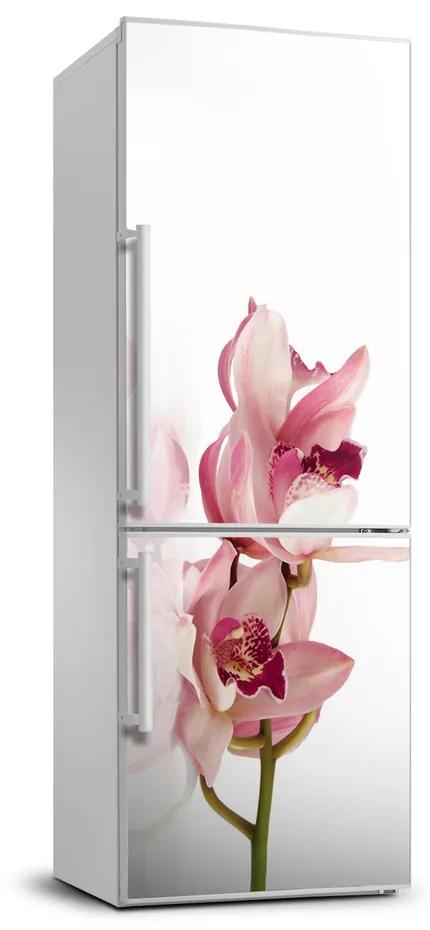 Foto tapeta na chladničku Ružová orchidea FridgeStick-70x190-f-18886978