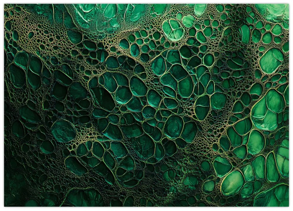 Obraz - Zelený mikroskopický záber (70x50 cm)